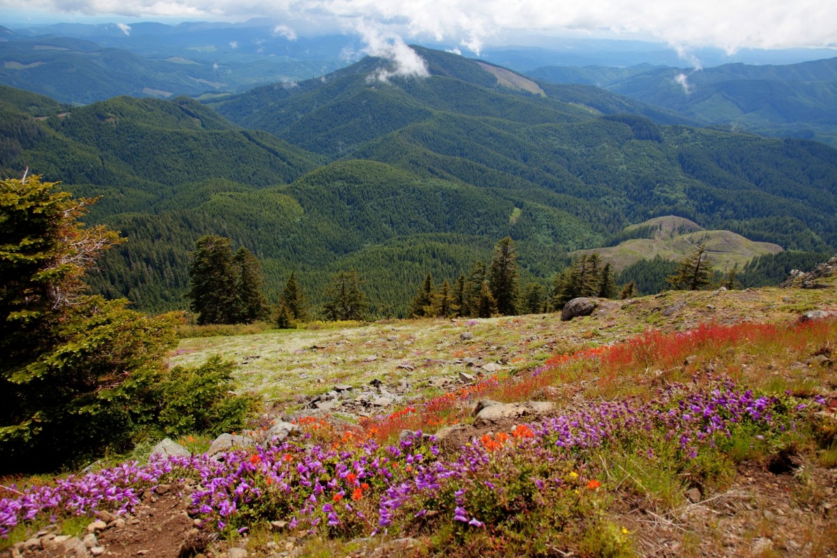 Mary's Peak