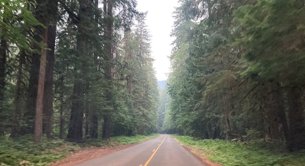 Santiam Pass