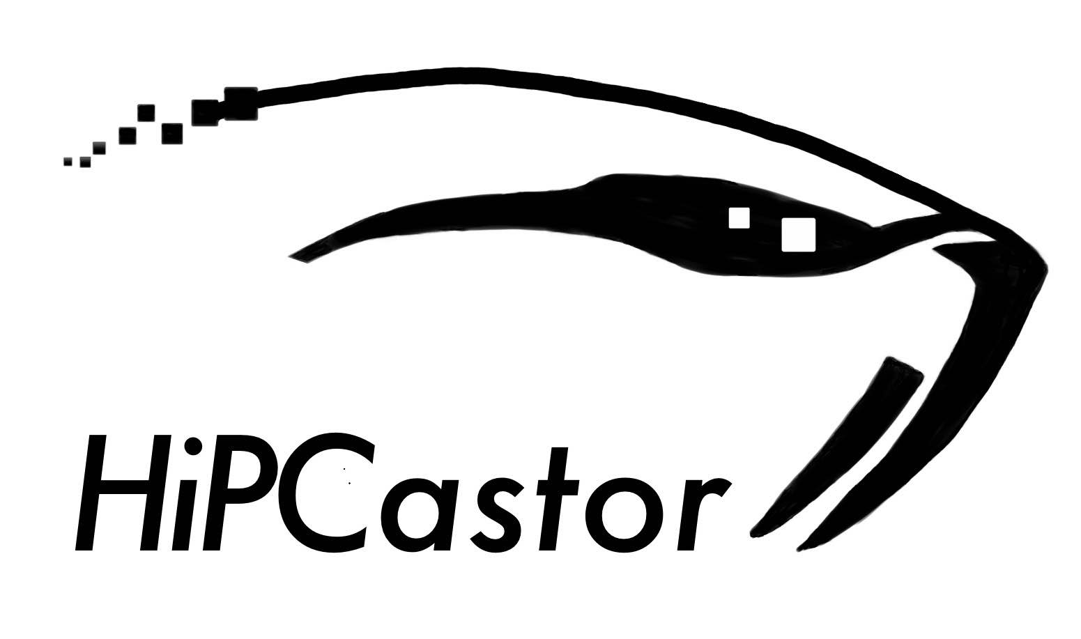 HiPCastor Group